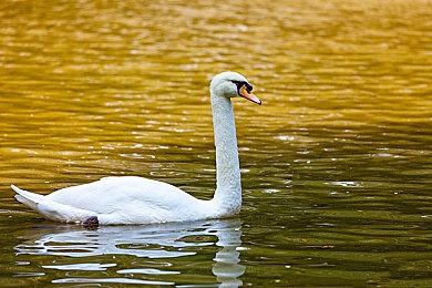 快节奏团队PVP游戏《Arkheron》 前魔兽首席设计师打造